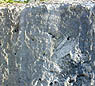 photo of limestone in Windley Quarry