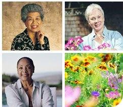 Menopause and Hormone Therapy.  Click to Enter!