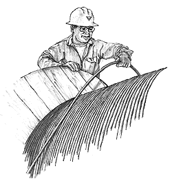 Drawing of Lineman