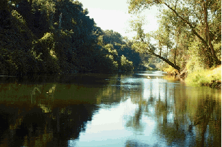 Photograph of the Stanislaus River