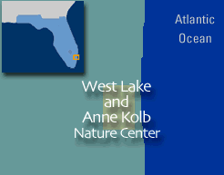 West Lake and Anne Kolb Nature Center