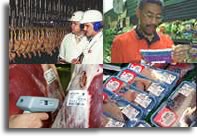 Photos of packaged meats, poultry inspection, scanning a meat label, and a shopper in a Dale City Giant.