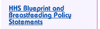 H H S Blueprint and Breastfeeding Policy Statements