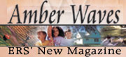 Amber Waves magazine