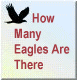 How Many Eagles Are There