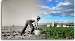 Historical photo from 1942 of a man crating spinach in Robstown, Texas, merged with a recent photo of corn production in Colorado. ARS and USDA photos.