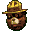 smokey bear icon