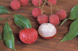 Photo: Lychee, Litchi chinensis. Link to photo information