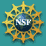 NSF Logo Graphic