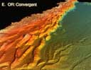 Geological forces at work on the continental margins. This image shows the seascape near Oregon.<BR>
<BR>
<font color=#DC143C><B><U>Important:</U>  Use of this image is restricted. Please see Restrictions (below) for complete information.</font></B><BR>
<BR>
<U><B>More About this Image:</B></U><BR>
Off the coast of Oregon, two of Earth's crustal plates come together. The North American Plate rides roughshod over the Juan de Fuca Plate, pushing it down into the earth's interior and in the process, scraping up sea floor sediments and leaving them in piles similar to the folds in a carpet.<BR>
<BR>
The computer-generated picture of Oregon's seascape is one of several views of continental margins that Lincoln Pratson, a geologist at the University of Colorado and the National Oceanic and Atmospheric Administration (NOAA), and his colleague William Haxby, studied while they both were at the Lamont-Doherty Earth Observatory. Other sites include the Florida and Louisiana coasts.<BR>
<BR>
Collection of the data used in creating these pictures began in 1983 when President Ronald Reagan declared that the nation's boundaries extend for 230 miles off any U.S. shore. The U.S. Geological Survey performed the general mapping while NOAA and scientists supported by NSF used multi-beam, echo-sounding systems to get high resolution images.<BR>
<BR>
Using several data sets, Pratson and Haxby evaluated the continental margins at five survey sites. The images show the naked forces of geology. Tectonics, sedimentation, and lithology (the structure and composition of rocks) have all been stripped of trees, grasses, and other appendages of land, revealing their raw power and unexpected variety. For example, a site off the western coast of Florida contrasts sharply with its nearby state. Instead of Florida's uniform, gentle slopes, the continental margin has sharp edges and mile-high cliffs that drop to the abyss below.<BR>
<BR>
Aside from the accompanying analysis providing new tools in the study of ocean floors, Pratson expects the images will assist companies considering gas or oil exploration and those laying transcontinental cables.  Thumbnail