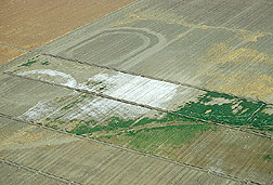 Fields suffering from severe salinization.  Link to photo information