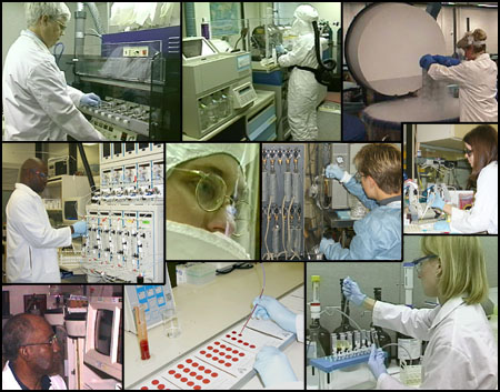 Cientficos trabajando en el laboratorio de pruebas de plomo