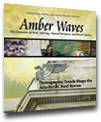 June 2004  issue of AmberWaves
