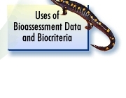 Uses of Bioassessment Data and Biocriteria