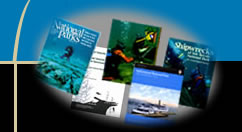 Collection of SRC publications