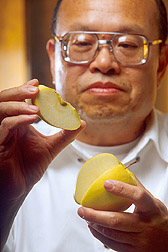 Fresh-cut apple slices like this one quickly turn brown and mushy when exposed to air. Click here for full photo caption.