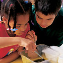 Fourth graders at the Glenallen Elementary School in Silver Spring, Maryland, search for microorganisms from the leaves they placed in the Gatorville Outdoor Classroom, located adjacent to the school. The students and their teacher Kristi Cameron, collaborated to build Gatorville with a small grant from the Chesapeake Bay Foundation. The project won Cameron a Presidential Award for Mathematics and Science Teaching in 2001, which is administered in part by the National Science Foundation.<BR>
<BR>
<I><B>[This is one of several related images. To see the rest, search for keyword 