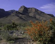 Desert National Wildlife Refuge in Nevada
