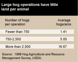 Large hog operations have little land per animal.