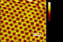 An atomic force microscope image of a hexagonally ordered array of alumina nanopores that were fabricated by anodization, as viewed from the top. The size of the image is 1 micron by 1 micron. This research was supported by NSF grant DMR 00-95215.  <I>[Image is from a group of 14 related images; to view the others, search for 