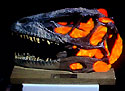 After the Deinonychus skull has been scanned and mapped, the first overlay is added--the muscle groupsvia augmented reality.<BR>
<BR>
This is one of several steps in the augmented reality process, where researchers use stereoscopic, three-dimensional overlays in combination with synchronized audio and light effects to paint a fossil with digital soft tissue and muscle. The result is a dynamic model that reveals how the dinosaur may have looked and how it may have attacked its prey.  <I><B>[Image 4 in a series of 6 images; see also, Virtual Showcase and Augmented Reality Steps 1 through 5.]</B></I><BR>
<BR>
<I>For further information about this research, including a short film about the augmented reality process used with the Deinonychus skull in this series of images, see the <a href=