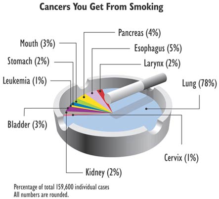 Cancers you get from smoking Percentage of total 159,600 individual cases. All numbers are rounded Lung:78%  Esophagus: 5% Pnacreas: 4% Mouth:3% Bladder: 3% Kidney:2% Larnyx: 2% Stomach:&nbsp; 2% Cervix:1% Leukemia: 1% 