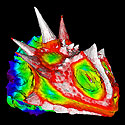 Color head scan of Texas horned lizard, part of a series of 3-D head scans created at the High-Resolution X-ray Computed Tomography Facility (UTCT) at the University of Texas, Austin. The UTCT--a National Science Foundation-supported shared multi-user facilitygives researchers a nondestructive technique for visualizing features in the interior of opaque solid objects as well as obtain digital information on their 3-D geometries and properties. In this particular visualization application, the external skin and internal skeleton are depicted using a color-mapping scheme that represents the distance from the skin to the bone, giving some of the lizard head reconstructions a polychromatic, 