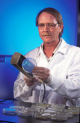 Microbiologist evaluates soil bacterial diversity: Click here for full photo caption.