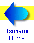 [ Tsunami Home ] 