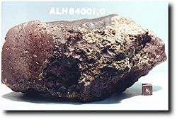 Meteorite ALH84001; caption is below