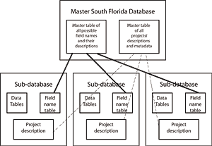 chart showing South Florida Alligator database design