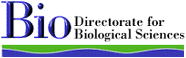 BIO - Directorate for Biological Sciences