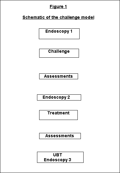 Figure 1, Schematic of the Challenge Model