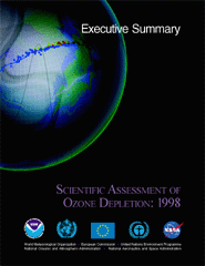 1998 Assessment Executive Summary cover