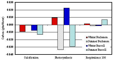 bar graph showing average rates of calcification, photosynthesis and respiration