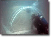 photo of diver and SHARQ under water