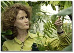 Kathleen Pryer studying ferns