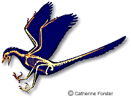 Bird Fossil
