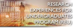 Research Experiences for Undergraduates Program (REU)