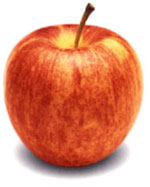 photograph of apple