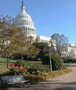 Photo of the US Capitol Building and Grounds