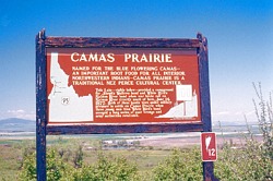 Camas Prairie