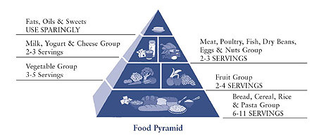 pyramid of food groups