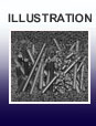 2004 1st Place Illustration - Water Permeation Through Aquaporins - Emad Tajkhorshid and Klaus Schulten Theorectical & Computational Biophysics Group, University of Illinois at Urbana-Champaign