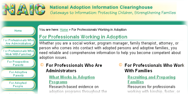 Picture of For Professionals Working in Adoption page.