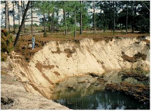 Figure 1. Sinkhole in west-central Florida triggered by a new irrigation well.