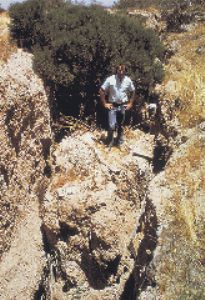 Figure 5.  Subsidence-related earth fissures in south-central Arizona