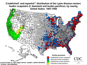 Map of established and reported distribution of the Lyme disease vectors Ixodes scapularis (I. dammini) and Ixodes pacificus, by county, United States, 1907-1996.