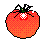 Drawing:  Third  tomato