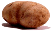 Photo of a potato.